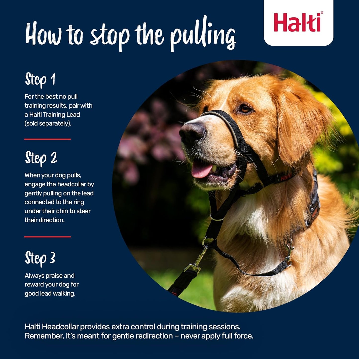 Company of Animals  Head Collar for Dogs, Size 3, Black