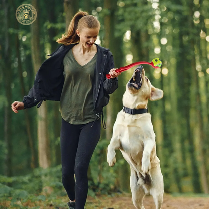 Pet Throwing Stick Dog Hand Throwing Ball Toys Pet Tennis Launcher Pole Outdoor Activities Dogs Training Toys Pet Supplies