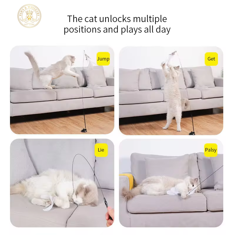 Interactive Cat Toy Handfree Cat Stick Playing Kitten Playing Teaser Wand Toy Suction Cup Bird/Feather Cat Wand Pet Supplies