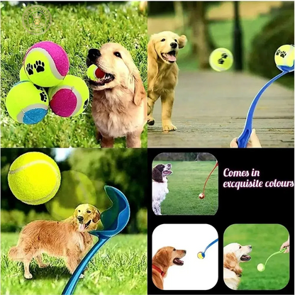 Pet Throwing Stick Dog Hand Throwing Ball Toys Pet Tennis Launcher Pole Outdoor Activities Dogs Training Toys Pet Supplies