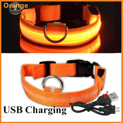 LED Glowing Dog Collar Adjustable Flashing Rechargea Luminous Collar Night Anti-Lost Dog Light Harnessfor Small Dog Pet Products